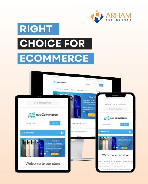 nopcommerce theme development