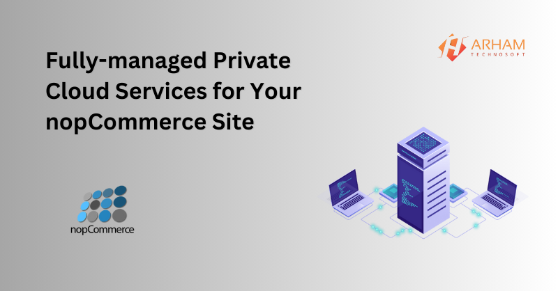 Fully-managed Private Cloud Services for Your nopCommerce Site
