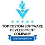 top custom software development company